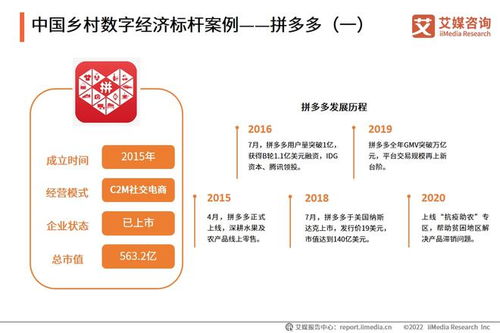2022年中國鄉(xiāng)村數(shù)字經(jīng)濟(jì)發(fā)展專題研究報(bào)告